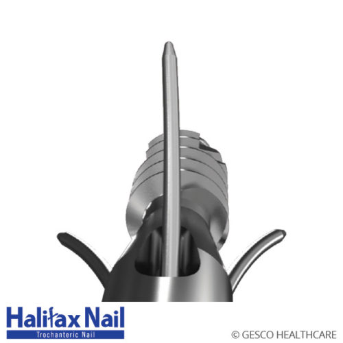Halifax Nail
